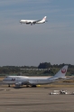 JAL Japan Airlines 0031